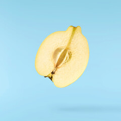 Fresh ripe yellow Quince fruit  falling in the air isolated on blue background. Food levitation or...