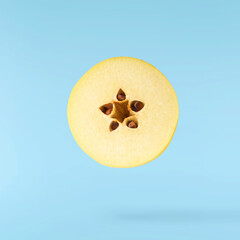 Fresh ripe yellow Quince fruit  falling in the air isolated on blue background. Food levitation or...
