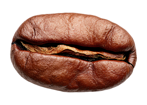 Coffee bean close-up highlighting its rich brown color and distinctive center crease on a transparent background
