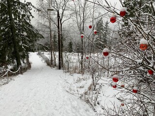 In einem Wald in Norwegen wurden Weihnachtskugeln und Weihnachtsdekorationen aufgehängt, die...