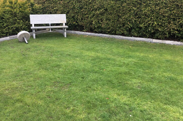 Im Garten steht auf grünem Rasen eine Sitzbank bank aus Granit, auch der Rasen ist in weißem...