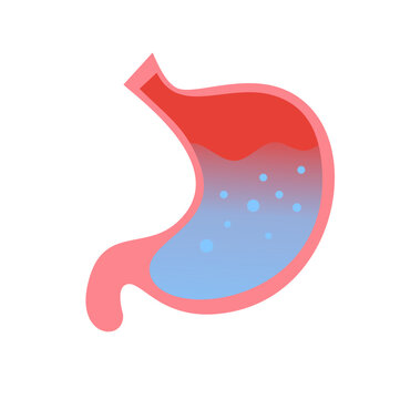 recommend clip art: Stomach Illustration