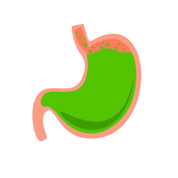 stomach with green liquid clip art preview