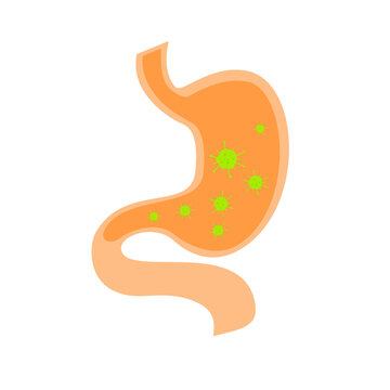 recommend clip art: Stomach Illustration