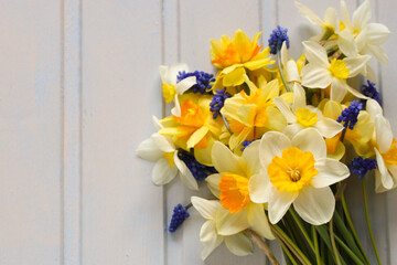 bouquet of daffodils on white as a background. an empty space for your text.