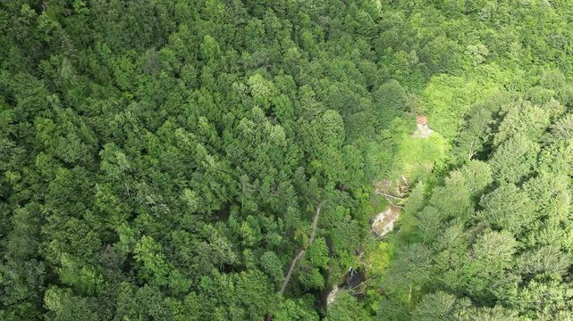 Turkey Black Sea magnificent forests. Black Sea Erfelek Tatlıca Waterfalls Forests. Hornbeam, oak and beech forests