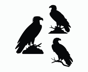 Obraz premium Bald eagle silhouette EPS vector isolated illustration and icon template on a white background