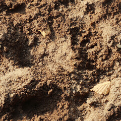 Seamless texture a sand surface with small stones perfect for rendering surfaces.