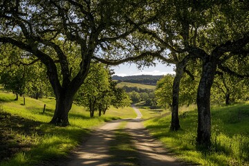 Obraz premium Scenic dirt road winding through a green meadow with oak trees and rolling hills in the background