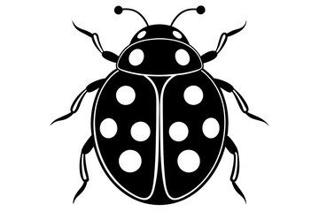 illustration of a ladybug
