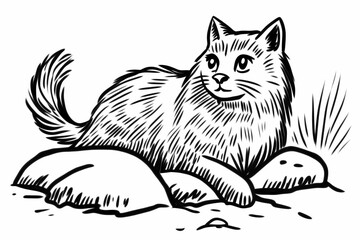 Obraz premium Adorable cat coloring page for children, perfect for creative stock illustrations.