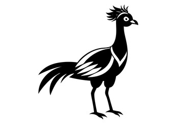 Obraz premium peacock isolated on white background