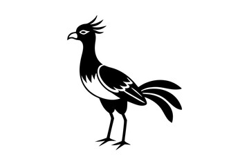 black and white rooster