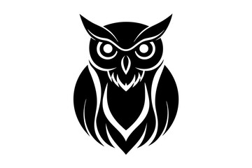 owl on white background