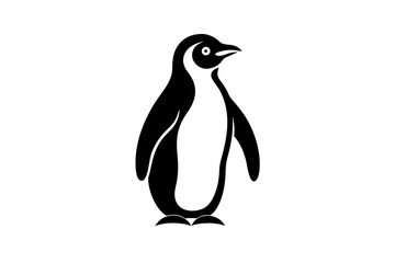 penguin isolated on white background