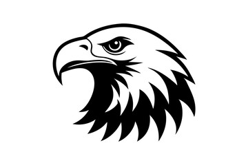 eagle head vector illustration
