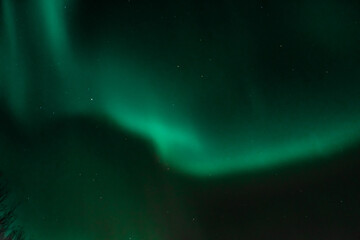 Spectacular Aurora Borealis over the starry sky of Iceland,  northern lights