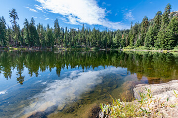 peaceful landscape of a mountain lake surrounded by forest in the wilderness area of California