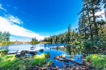 Crystal blue waters of a small mountain lake with pine tree reflections in the water