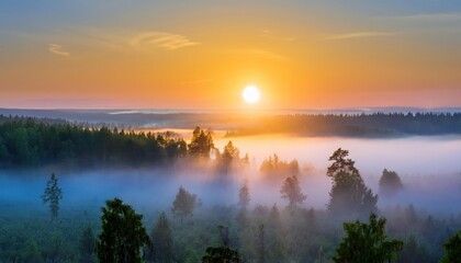 Fototapeta premium Amazing Sunrise Over Misty Landscape. Scenic View Of Foggy Morning Sky With Rising Sun Above Misty Forest. Middle Summer Nature Of Europe