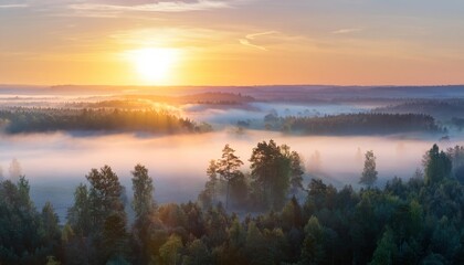 Fototapeta premium Amazing Sunrise Over Misty Landscape. Scenic View Of Foggy Morning Sky With Rising Sun Above Misty Forest. Middle Summer Nature Of Europe