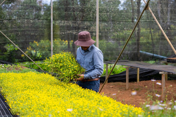 Young Asian gardener is choosing flowering plant from local garden center nursery full of summer plant for weekend gardening and outdoor hobby concept