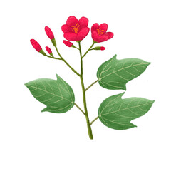 hand drawn beautifull wild flower