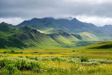 Naklejka premium Green mountain valley landscape with cloudy sky, lush meadow, nature scenery, peaceful wilderness