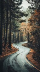 Fototapeta premium A serene, winding road leading through a dense forest with tall trees on either side. The road is slick with rain, and the light reflections create a moody atmosphere. The foliage on the trees exhibit
