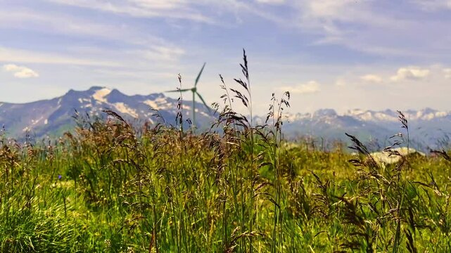 Grass and a Wind Turbine in a Windy and a Sunny Summer Day with Mountain Peak with Snow at 2363 Meter in G&uuml;tsch, Andermatt, Uri, Switzerland, Europe