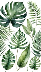 olated art elegant leaves watercolor leaves illustration clip watercolor png green tropical tropical illustration green botanical background modern  watercolor tropical green plant illustration