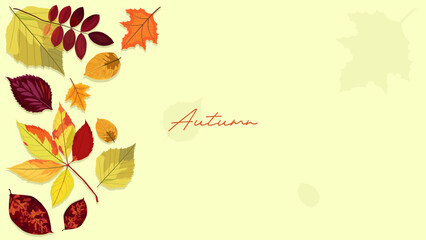 autumn template. Vector illustration of beautiful autumn leaves isolated on soft green background. dry leaves and wet leaves. Concept design welcomes the changing seasons, autumn
