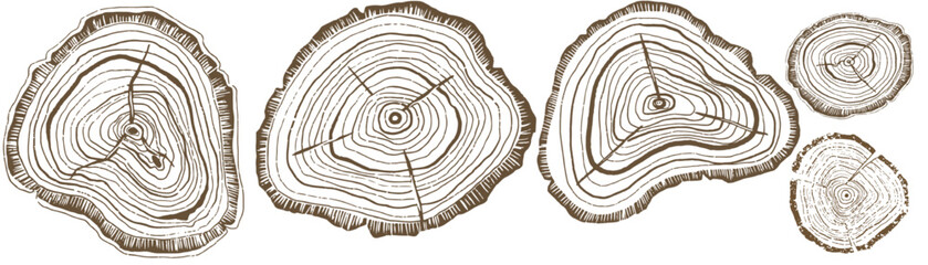 tree ring , environmental , old wood