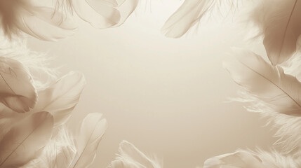 feathers: a soft frame made from white feathers, arranged in a loose, airy pattern around the borders of a pale background, the feathers are spread out with a sense of lightness