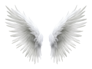 Wings of Angel Isolated on Transparent Background PNG
