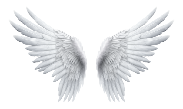 Angel Wings Isolated on Transparent Background PNG
