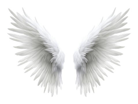 Wings of Angel Isolated on Transparent Background PNG

