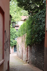 narrow street in the town