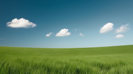 Landscape image featuring a vast, gently rolling green hill under a clear vibrant blue sky.