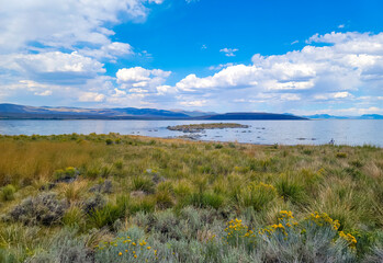 Mono Lake, CA