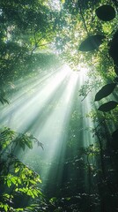 Obraz premium Sunlight penetrates through the dense foliage of a lush green forest, creating dramatic sunbeams that illuminate the verdant undergrowth. The interplay of light and shadow adds depth and texture to th