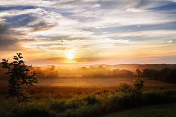 Beautiful golden sunrise over fields of wheat; Picturesque misty farmland in the morning