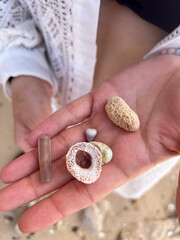 Hand Holding Seashells and Pebbles Collected on the Beach in Natural Sunlight.