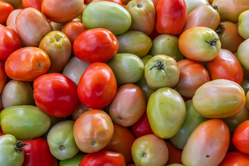 Tomatoes in a popular market in the city of Tapero&aacute;, state of Para&iacute;ba, in the backlands of Brazil.