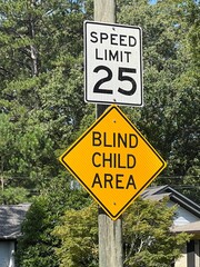 Blind Child Area caution sign below a 25 mph speed limit sign