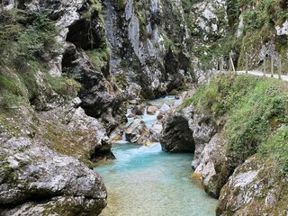 Fototapeta premium Tolmin Gorges (Triglav National Park, Slovenia) - Tolminer Klammen (Nationalpark Triglav, Slowenien) - Tolminska korita (Triglavski narodni park, Slovenija)