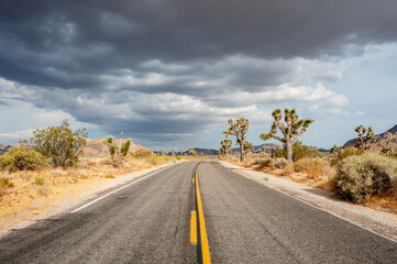 Dramatic sky over Joshua Tree National Park