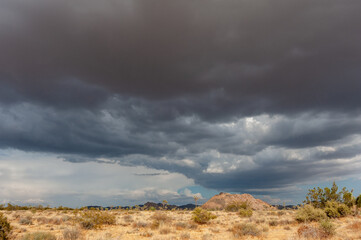 Dramatic sky over Joshua Tree National Park