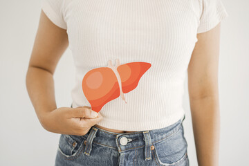 woman holding healthy liver, organ donation, hepatitis vaccination, liver cancer treatment, world...