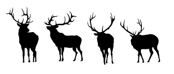 Elk silhouette vector illustration